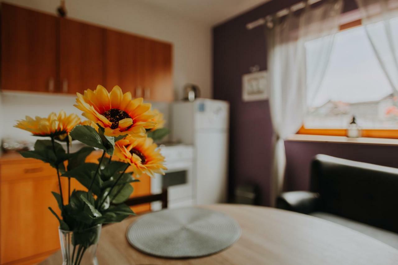 Apartmani Marin Vukovar Ngoại thất bức ảnh