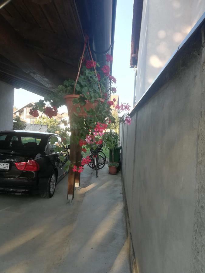 Apartmani Marin Vukovar Ngoại thất bức ảnh